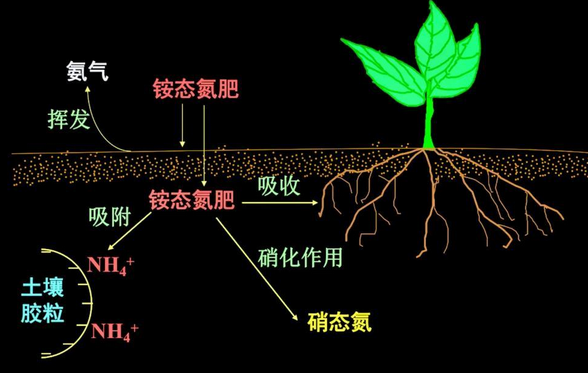 土壤氮磷钾检测方法